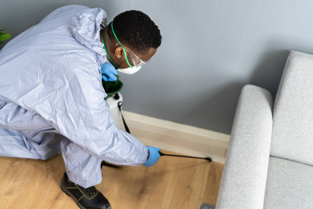 Real Estate Pest Inspections in Vineyard, CA